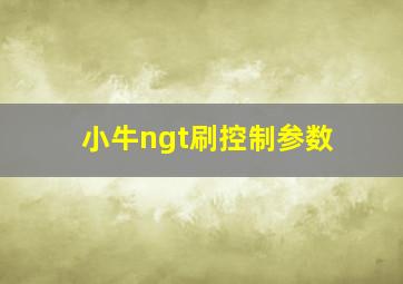 小牛ngt刷控制参数