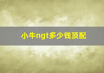 小牛ngt多少钱顶配