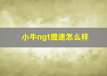 小牛ngt提速怎么样