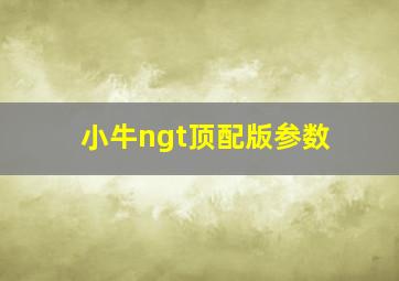 小牛ngt顶配版参数