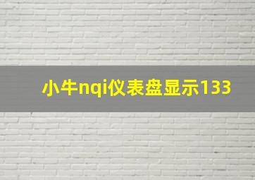 小牛nqi仪表盘显示133