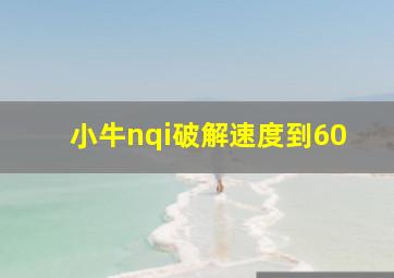 小牛nqi破解速度到60