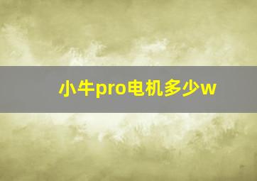 小牛pro电机多少w