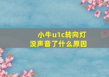 小牛u1c转向灯没声音了什么原因