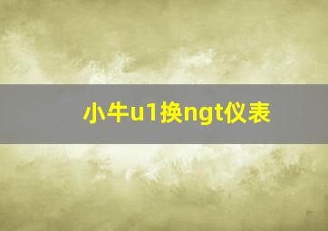 小牛u1换ngt仪表