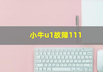 小牛u1故障111