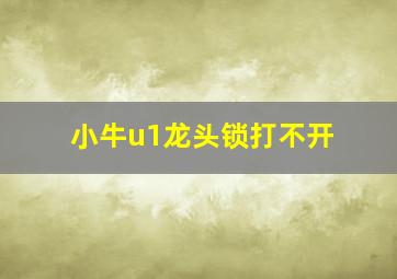 小牛u1龙头锁打不开