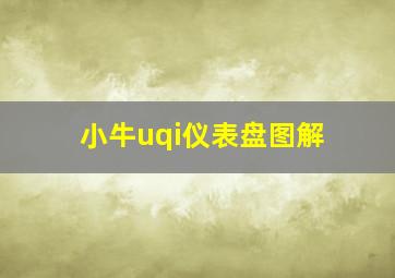 小牛uqi仪表盘图解