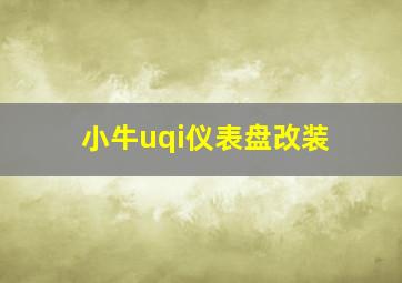 小牛uqi仪表盘改装