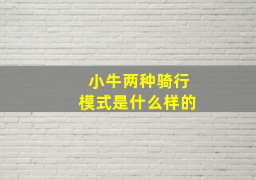 小牛两种骑行模式是什么样的