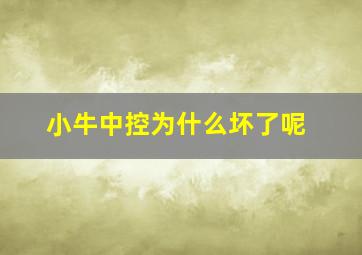 小牛中控为什么坏了呢