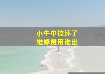 小牛中控坏了维修费用谁出