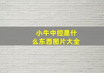 小牛中控是什么东西图片大全