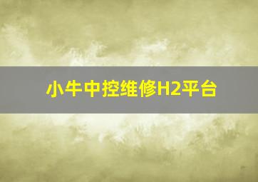 小牛中控维修H2平台