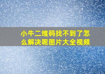 小牛二维码找不到了怎么解决呢图片大全视频