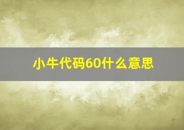 小牛代码60什么意思