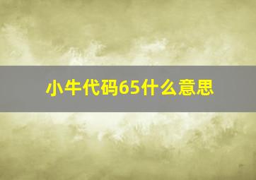 小牛代码65什么意思