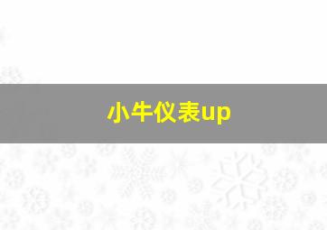 小牛仪表up