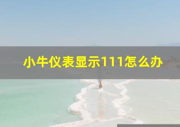 小牛仪表显示111怎么办