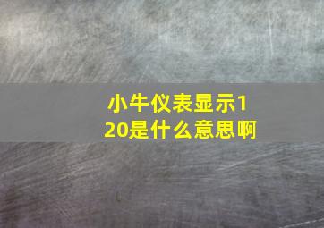 小牛仪表显示120是什么意思啊