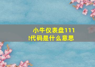 小牛仪表盘111!代码是什么意思