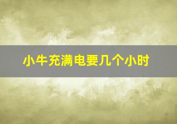 小牛充满电要几个小时