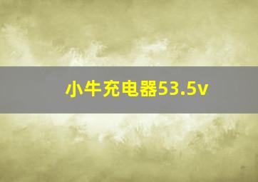 小牛充电器53.5v