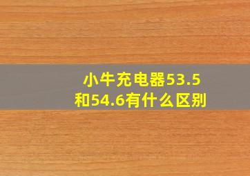 小牛充电器53.5和54.6有什么区别