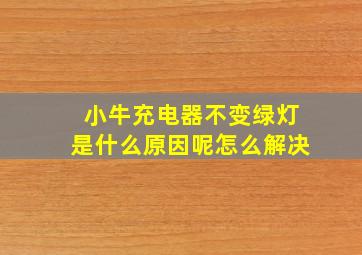 小牛充电器不变绿灯是什么原因呢怎么解决