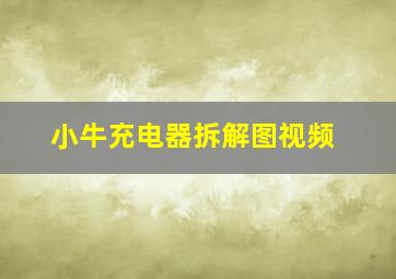 小牛充电器拆解图视频