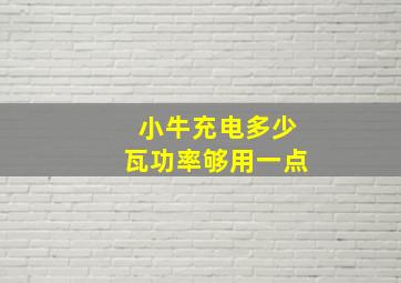 小牛充电多少瓦功率够用一点