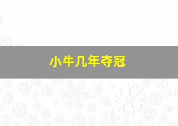 小牛几年夺冠