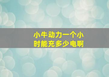 小牛动力一个小时能充多少电啊