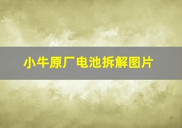 小牛原厂电池拆解图片