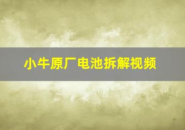 小牛原厂电池拆解视频