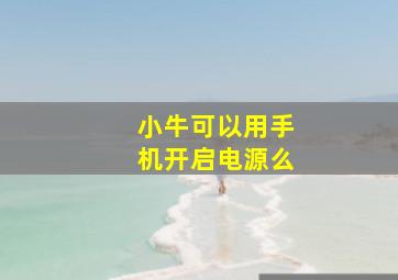 小牛可以用手机开启电源么