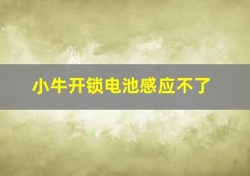 小牛开锁电池感应不了