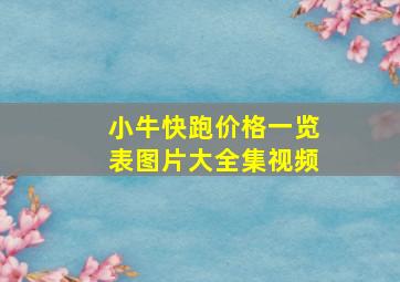 小牛快跑价格一览表图片大全集视频