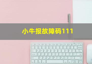 小牛报故障码111