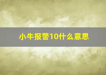 小牛报警10什么意思