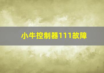 小牛控制器111故障