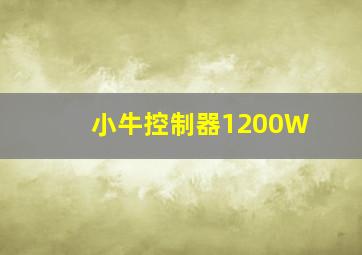 小牛控制器1200W