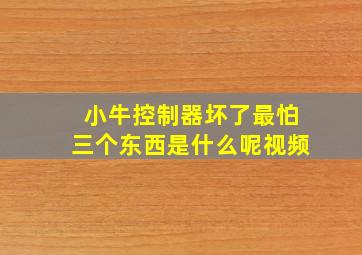 小牛控制器坏了最怕三个东西是什么呢视频