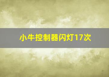 小牛控制器闪灯17次