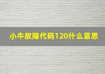 小牛故障代码120什么意思