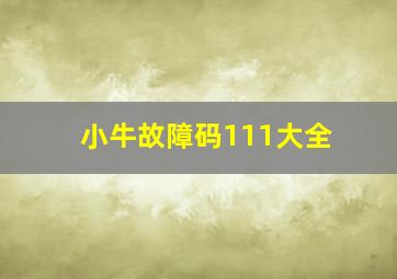 小牛故障码111大全