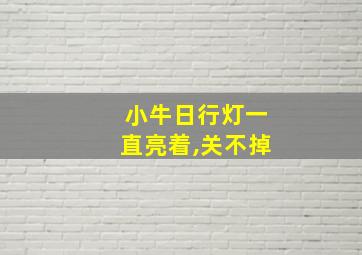 小牛日行灯一直亮着,关不掉