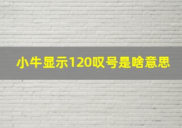 小牛显示120叹号是啥意思