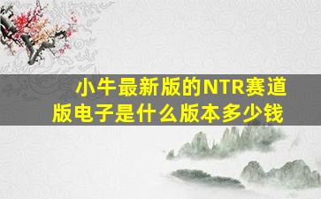 小牛最新版的NTR赛道版电子是什么版本多少钱