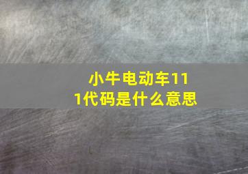 小牛电动车111代码是什么意思